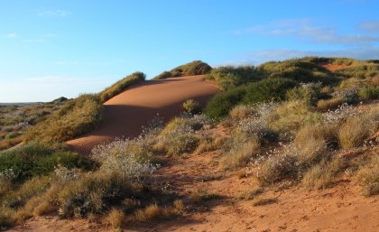 Faure Island in Shark Bay, Western Australia (Credit: Graham Fulton)